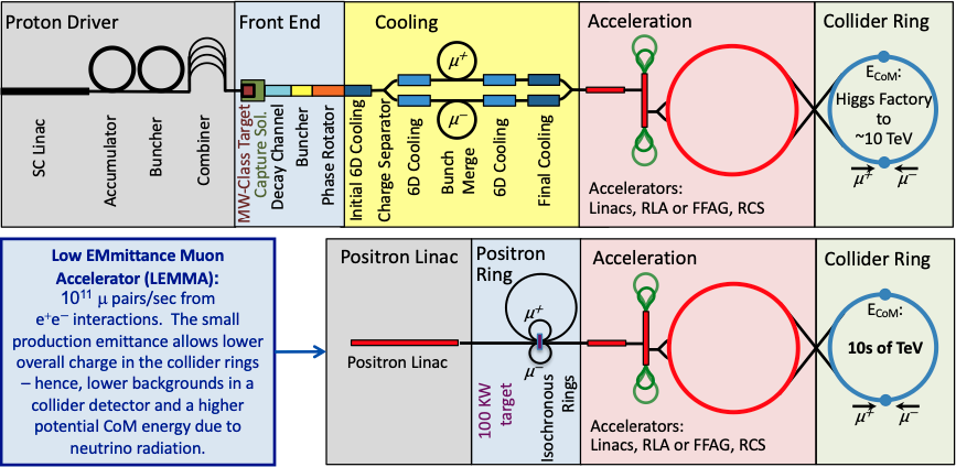 proton muon collider complex